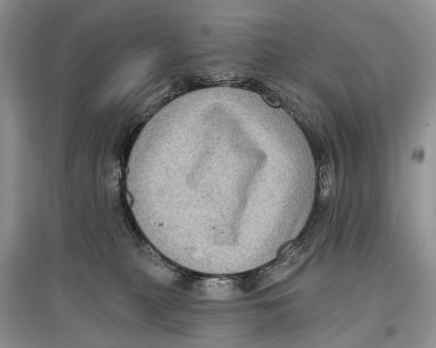 X0000097290279200803071738