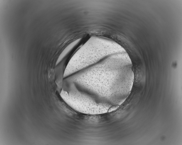 X0000097290282200803071738