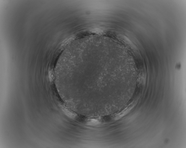 X0000097290285200803071738