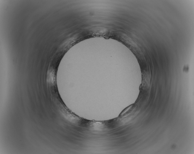 X0000097290287200803071738