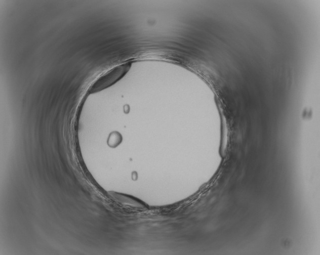 X0000097290289200803071737