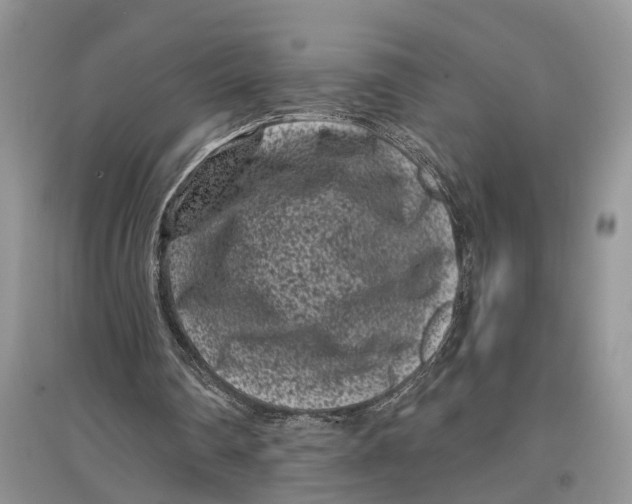 X0000097290290200803071737