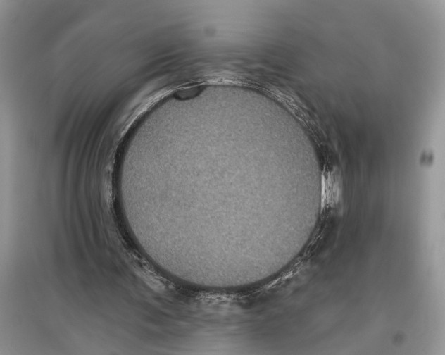 X0000097290291200803071737