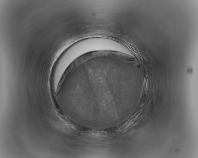 X0000097290292200803071737