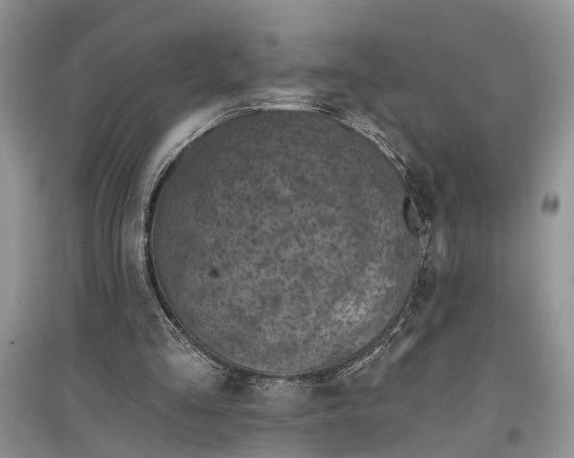 X0000097290293200803071737