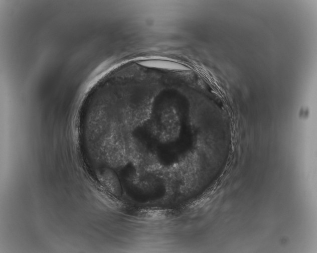 X0000097290295200803071737