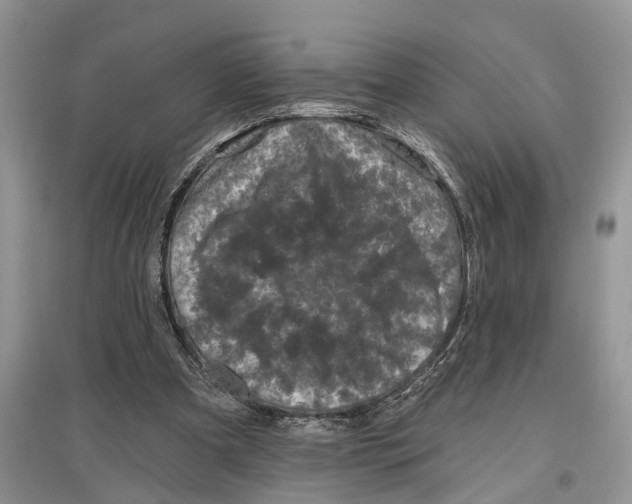 X0000097290297200803071737