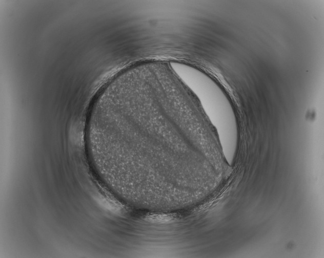 X0000097290299200803071737