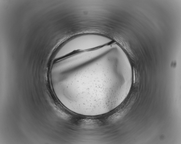 X0000097290300200803071737