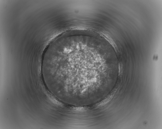 X0000097290301200803071737