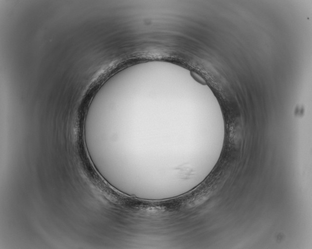 X0000097290304200803071737