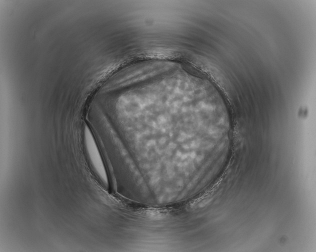 X0000097290305200803071737