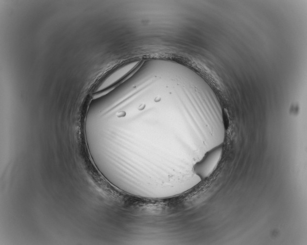 X0000097290306200803071737