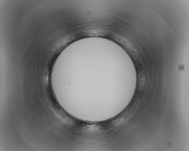 X0000097290310200803071737