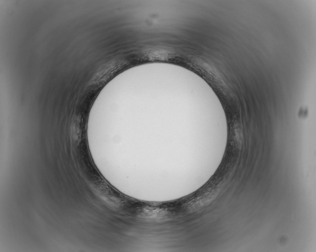 X0000097290311200803071737