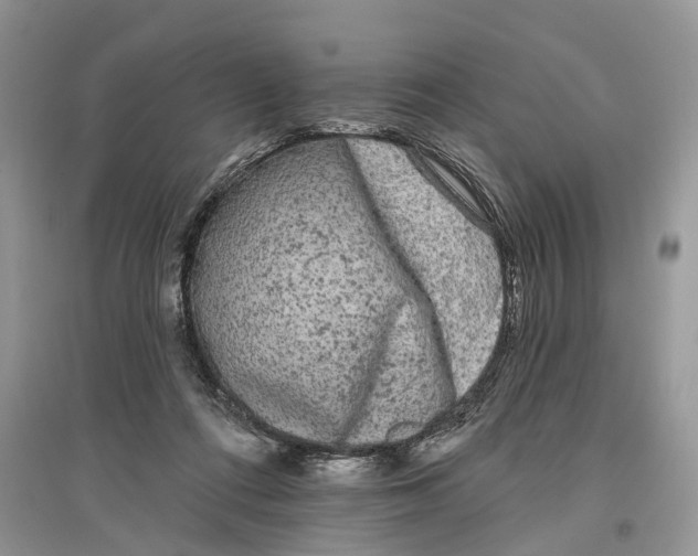 X0000097290312200803071737