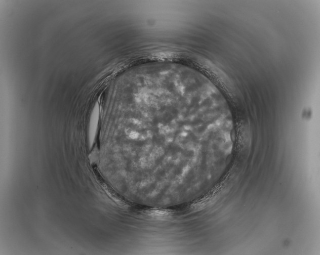 X0000097290313200803071737