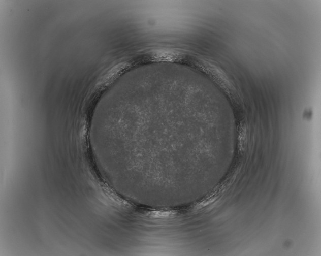 X0000097290314200803071737