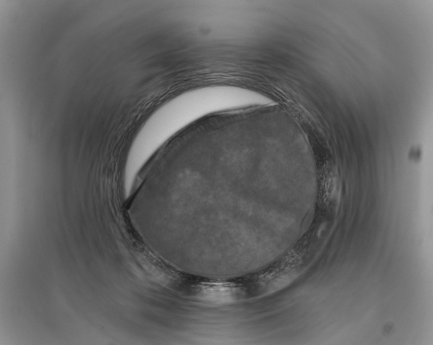 X0000097290316200803071737