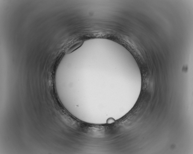 X0000097290317200803071737