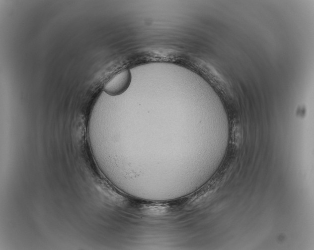 X0000097290318200803071737