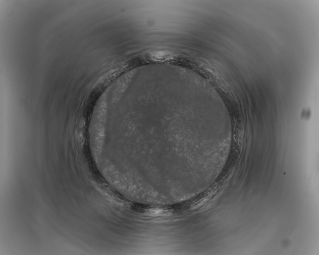 X0000097290319200803071737