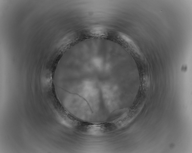 X0000097290320200803071737