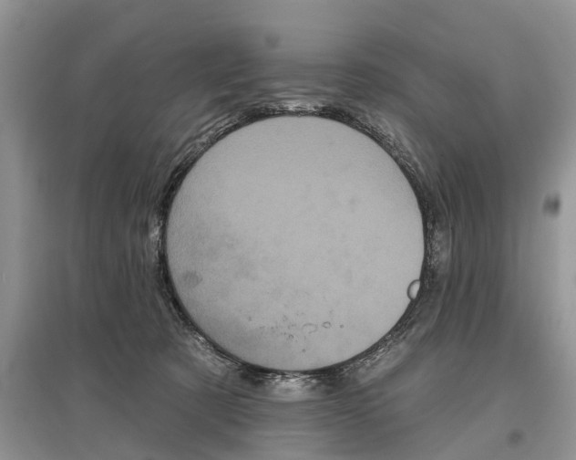 X0000097290321200803071737