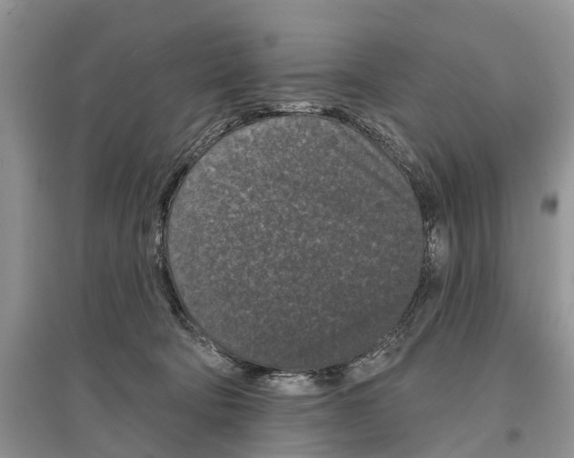 X0000097290322200803071737