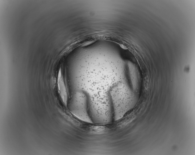 X0000097290324200803071737