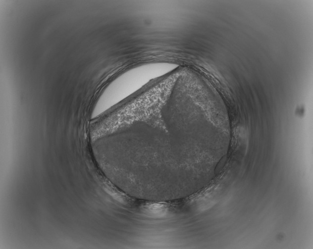 X0000097290325200803071737