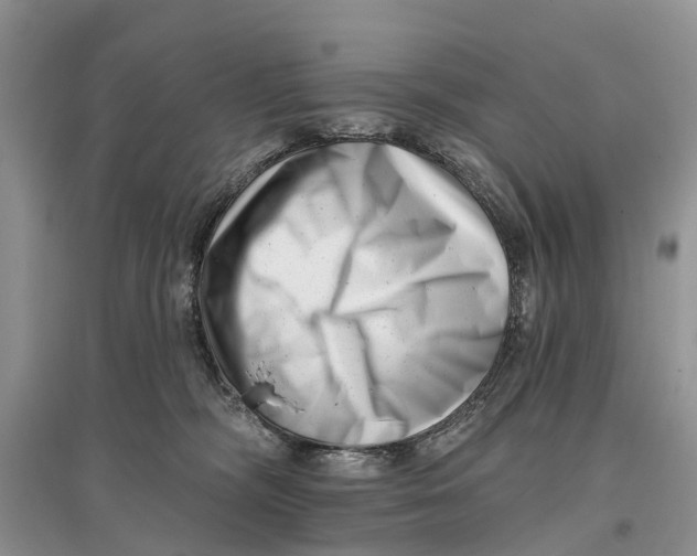 X0000097290326200803071737