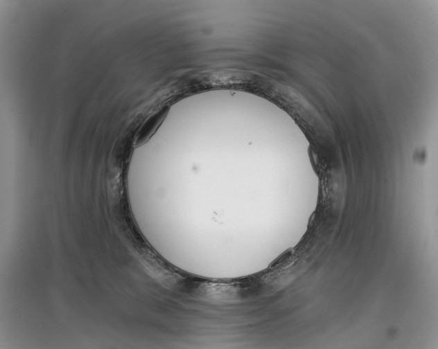 X0000097290327200803071737