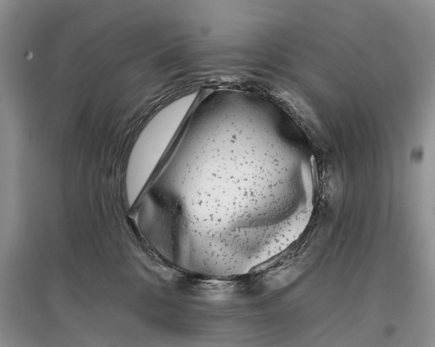 X0000097290328200803071737