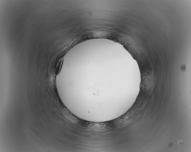 X0000097290329200803071737