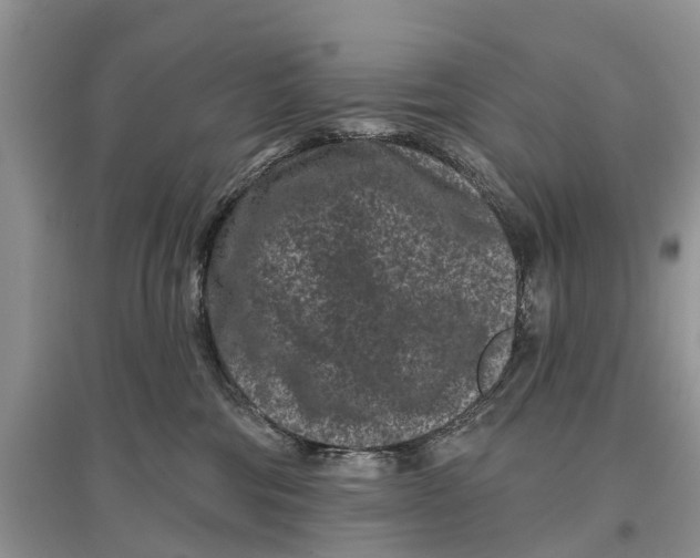 X0000097290330200803071737