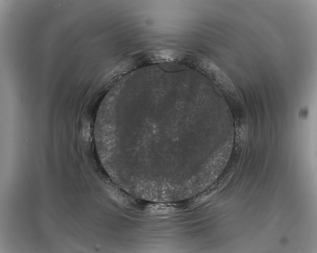 X0000097290331200803071737