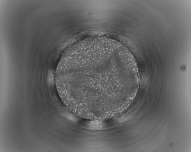 X0000097290335200803071737