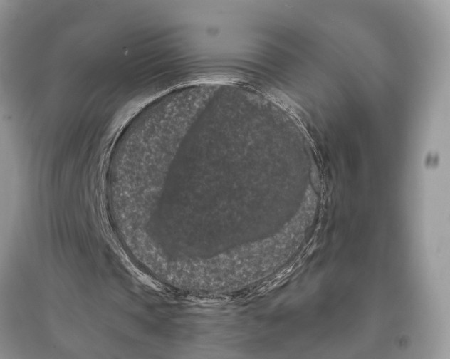 X0000097290337200803071736