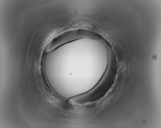 X0000097290340200803071736