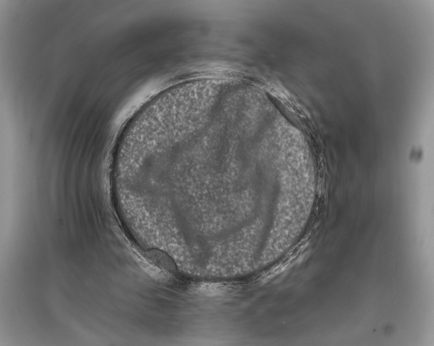 X0000097290341200803071736