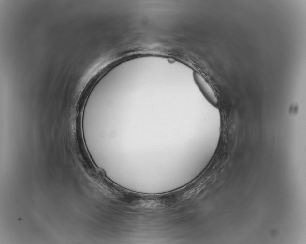 X0000097290344200803071736