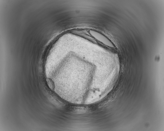 X0000097290347200803071736