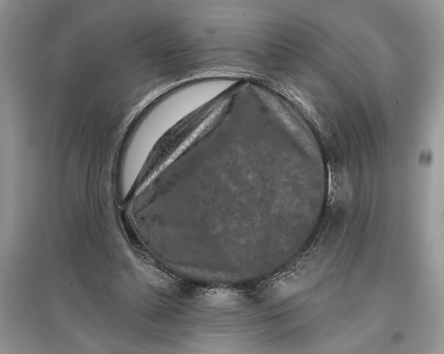 X0000097290348200803071736