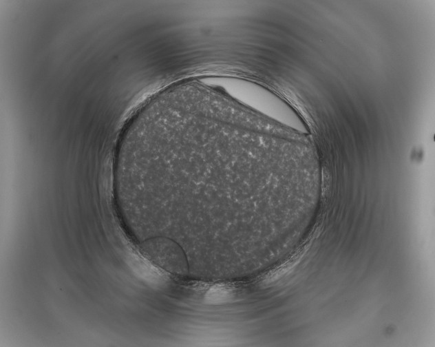 X0000097290349200803071736