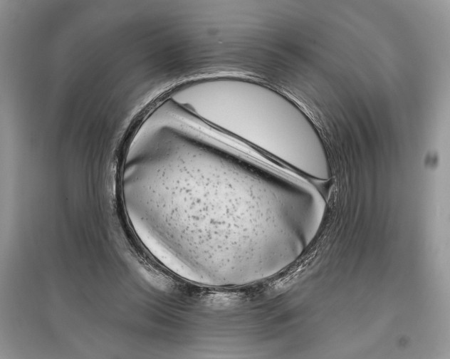 X0000097290350200803071736