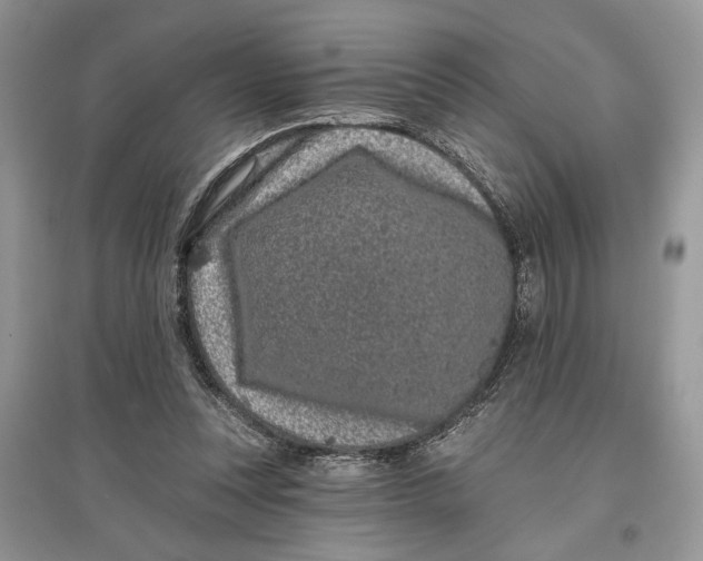 X0000097290351200803071736