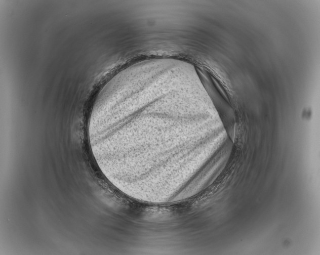 X0000097290354200803071736