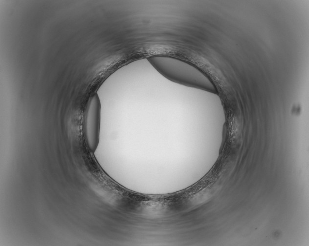 X0000097290356200803071736