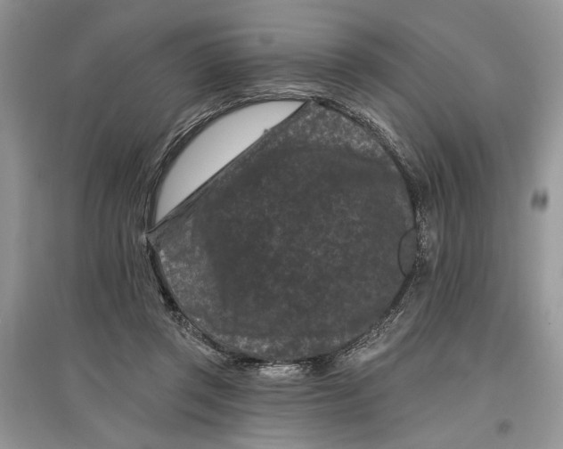 X0000097290357200803071736